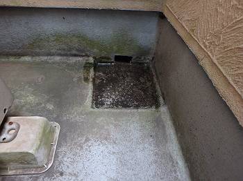 20160701_350_P7190635_t