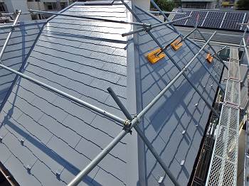 20160706_350_P7060386_s