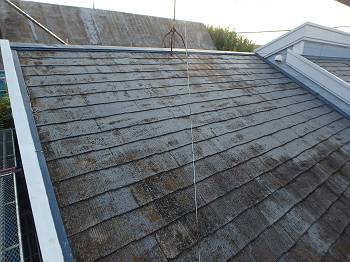 20160712_350_P7120078_M