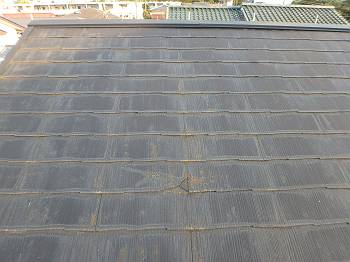 20160809_350_P8090806_t