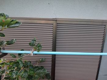 20160809_350_P8090891_t