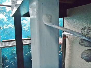 20160815_350_P8150008_s