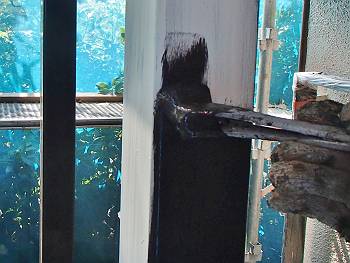 20160815_350_P8150010_s