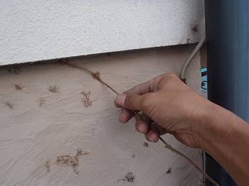 20160824_350_P8245920160824_350_P82_s