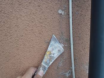 20160824_350_P8245979_s