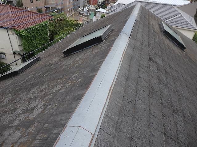 20160912_640_P9120116_640