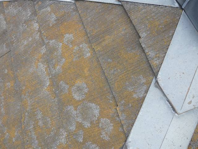 20160912_640_P9120118_640