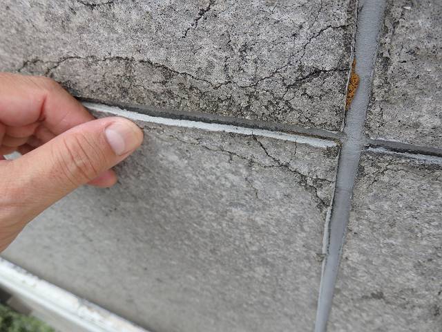 20160914_640_P9120039_s