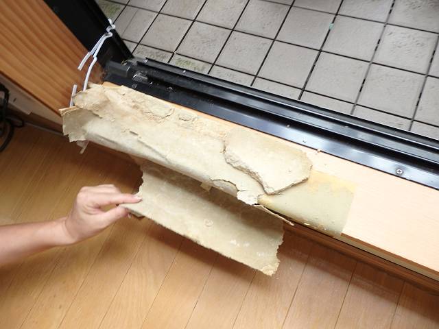 20160914_640_P9121130_s