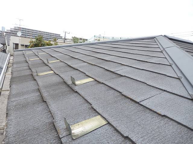 20161013_640_PA130708-t