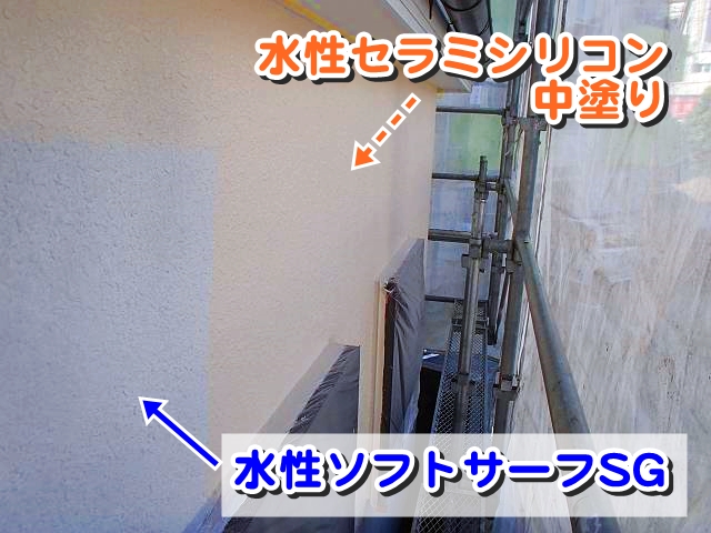 20161026_640_P1010012-t_txt