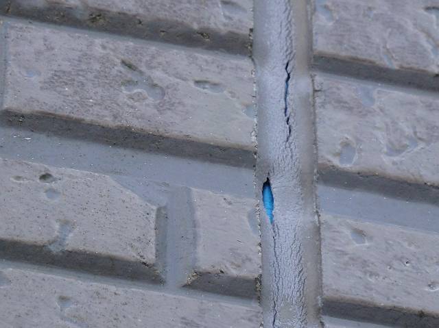 20161026_640_PA200062dcs_s