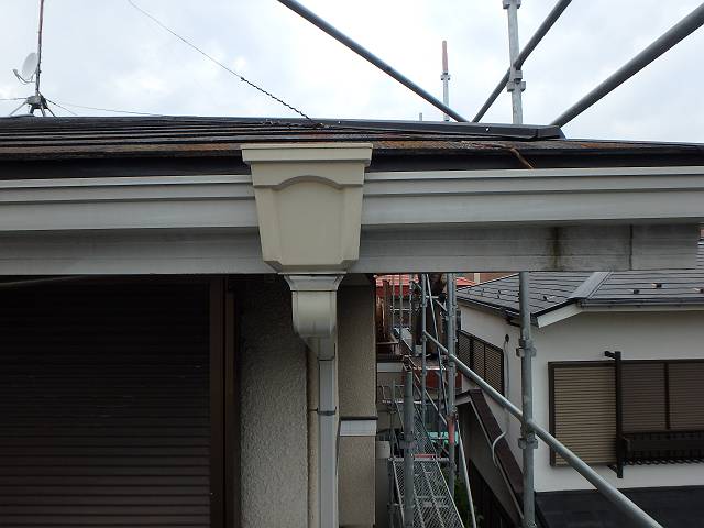 20161114_640_PB141605-t