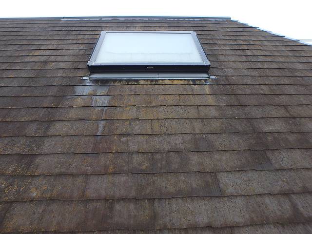 20161114_640_PB141804_640