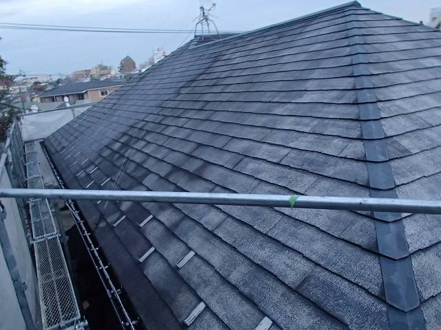 20161115_640_PB150015_640