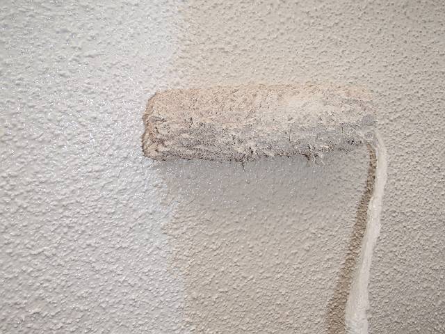 20161117_640_PB171006-t