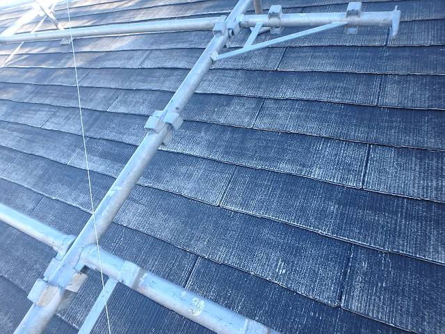 20161206_640_PC061193_s