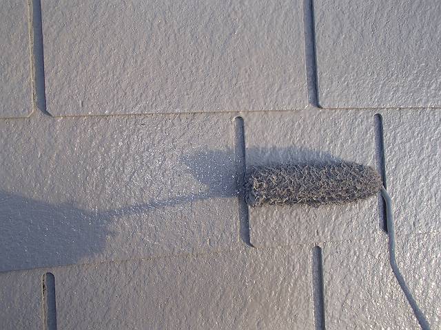 20161208_640_PC081228_s