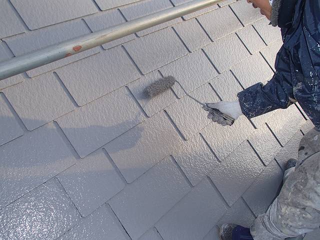 20161208_640_PC081229_s