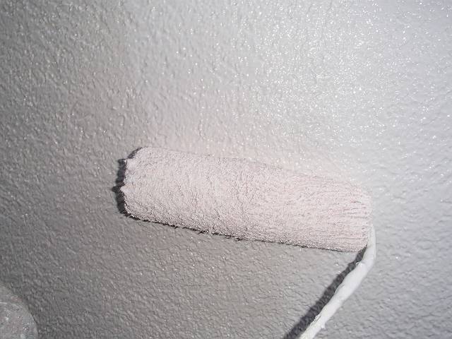 20161209_640_PC091248_s