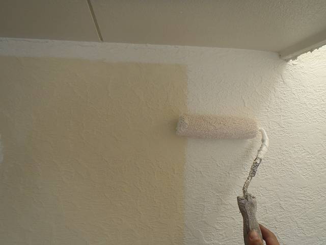 20161210_640_PC101237_s