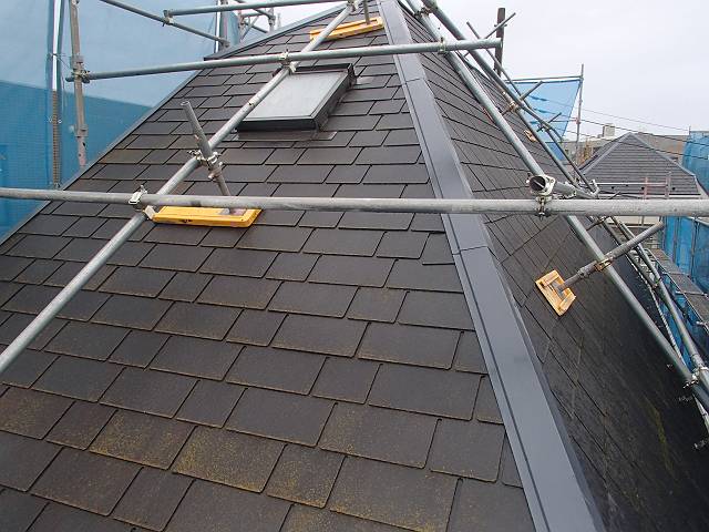 20161215_640_PC141281_s