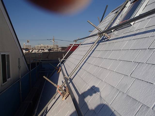 20161217_640_PC171351_s