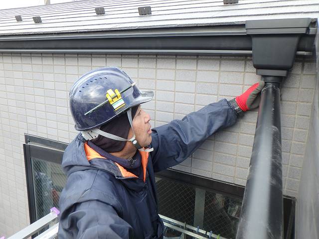 20170114_640_P1140631_s