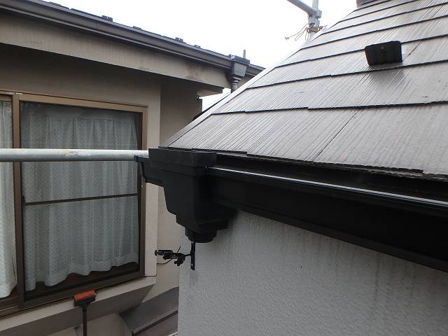 20170114_640_P1140650_s