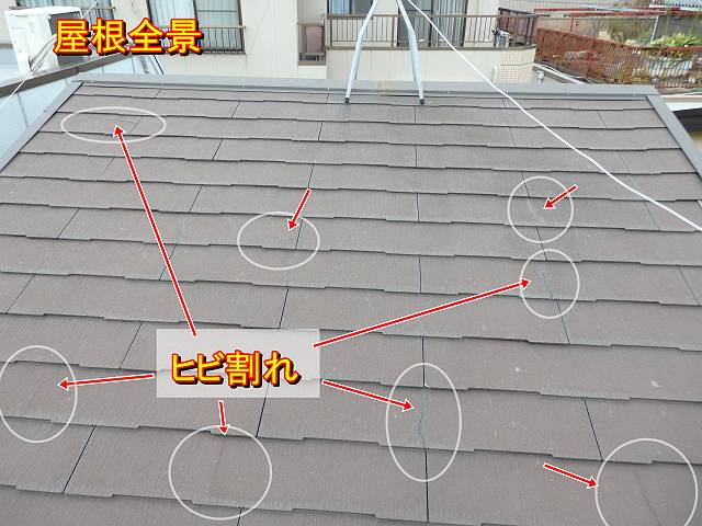 20170119_640_P8230684_txt_s