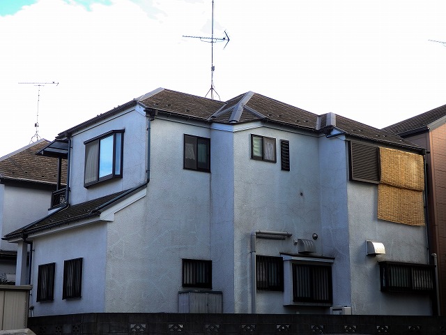 P9050510_col_tri_640