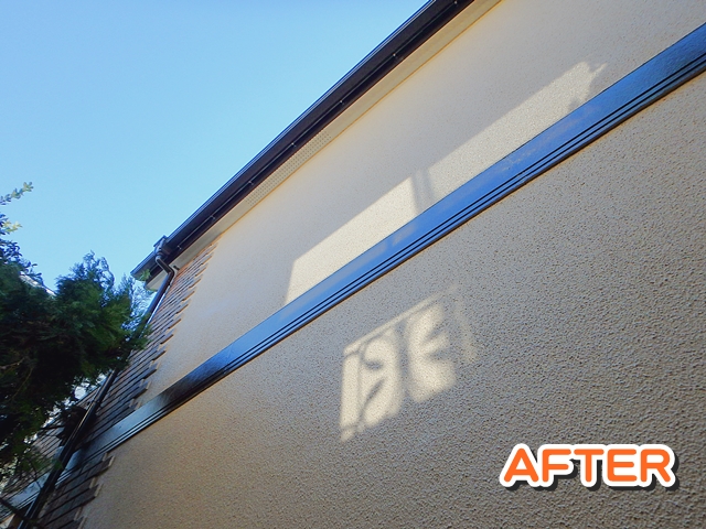 PB250055_col_640_txt