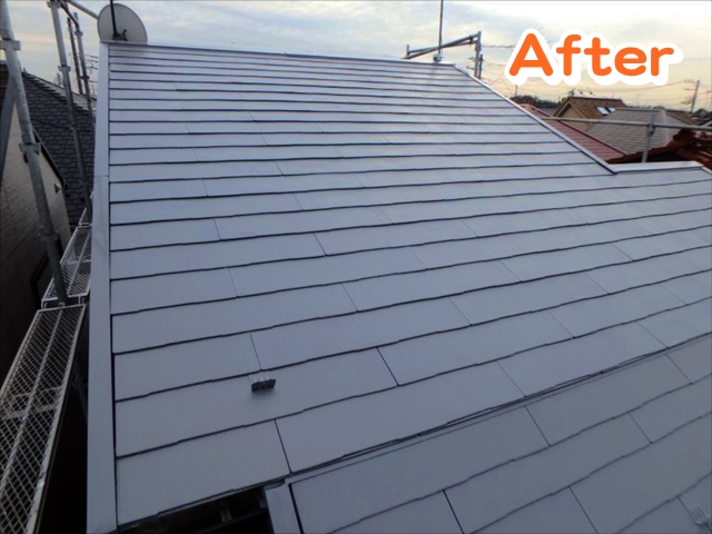 PB300171_col_640_txt