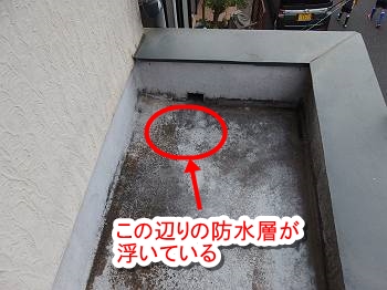 20160527_350_P5270164_stxt