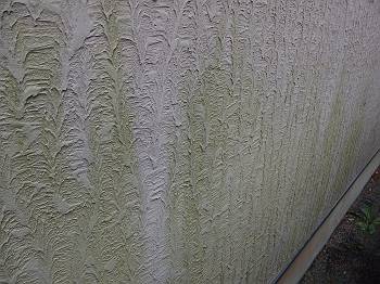 20160527_350_P5270171_s