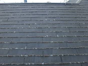 20160730_350_P7271496_s