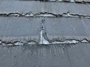 20160801_350_P7271495_s