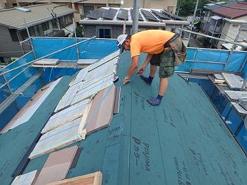 20160802_350_P8020193_s