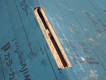 20160802_350_P8020214_s