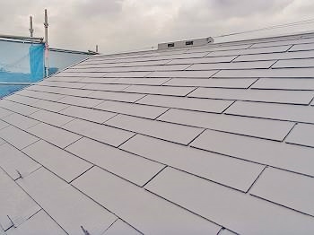 20160803_350_P8030024_s