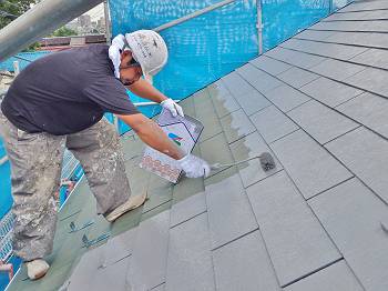 20160803_350_P8030299_s