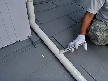 20160806_350_P8060006_s