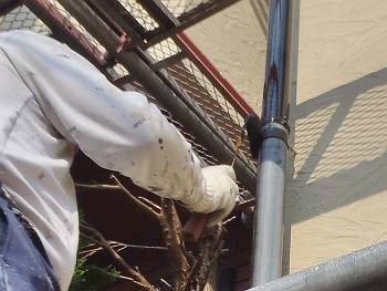 20160902_350_P9020372_s