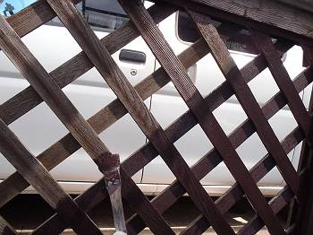 20160909_350_P9060389_s