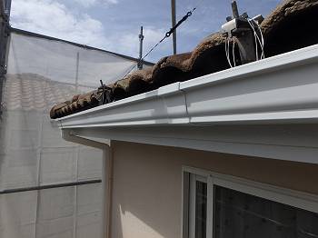 20161004_350_PA040307_s