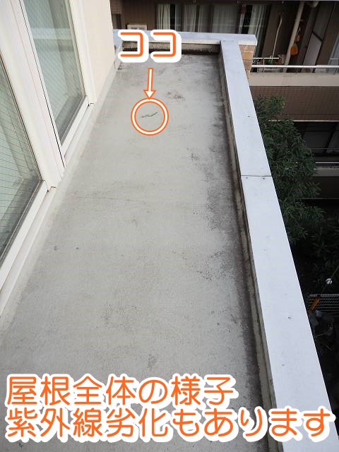 20161006_640_PA060499_s_txt