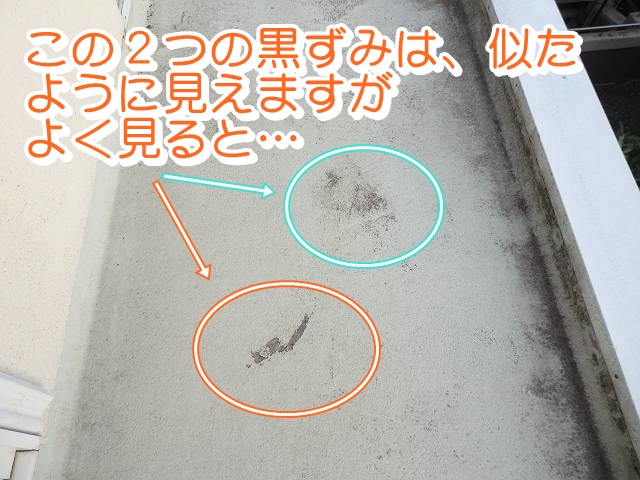 20161006_640_PA060506_s_txt