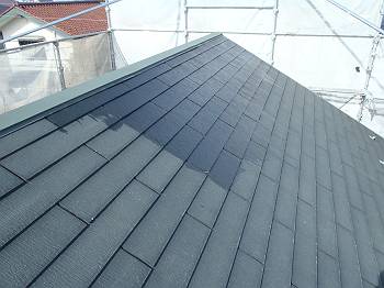 20161007_350_PA060413_s