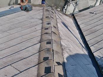 20161020_350_DSC_0553_s_s