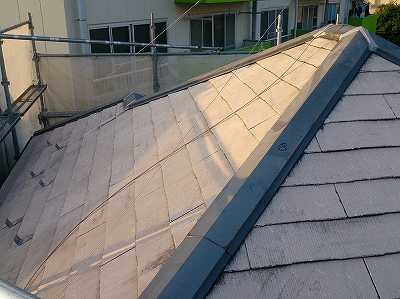 20161020_DSC_0562_400